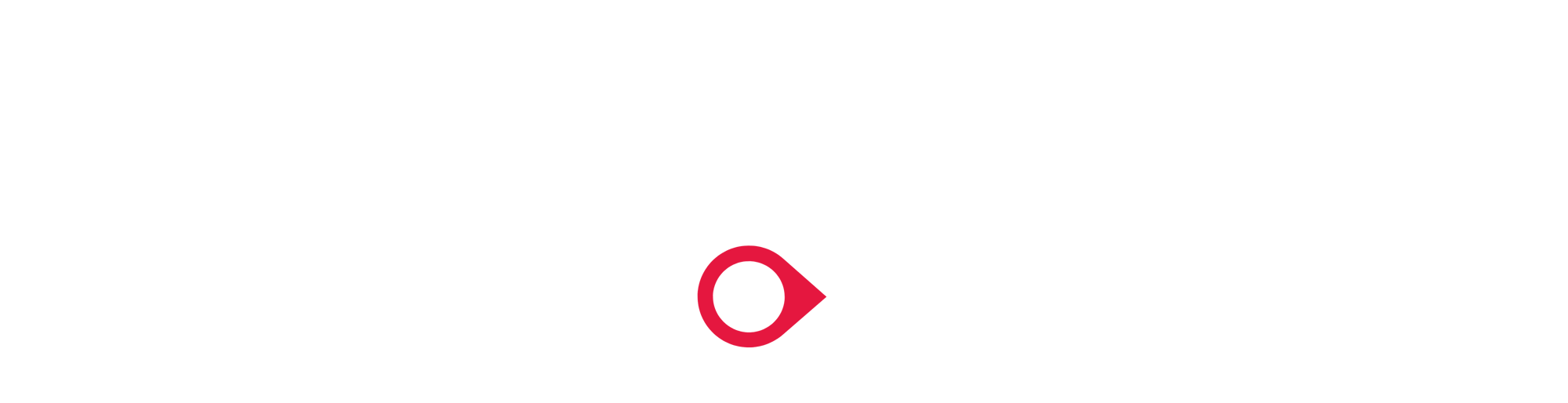 WS logo - access - white-1