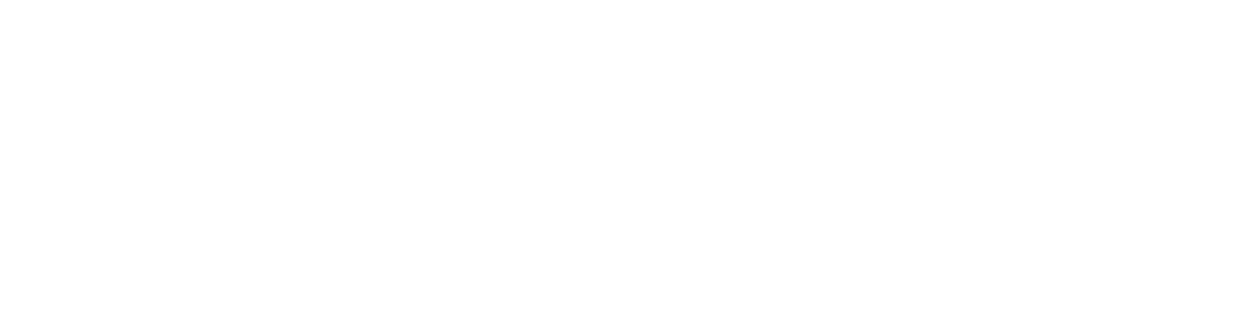 Wireless Social Logo - white no borders-1